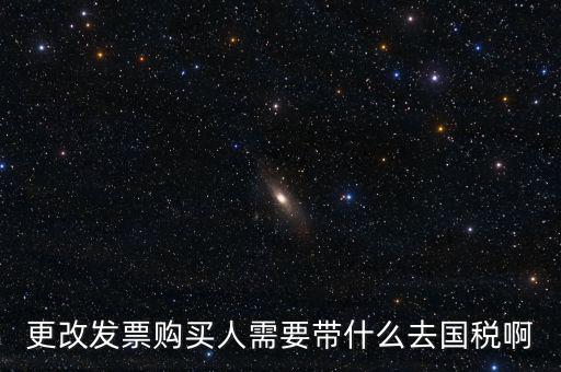 更改發(fā)票購(gòu)買人需要帶什么去國(guó)稅啊