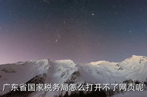 廣東省國家稅務局怎么打開不了網頁呢