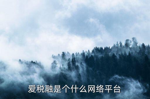 愛稅融是個什么網絡平臺