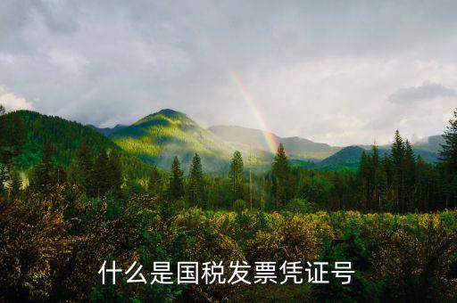 國稅辦稅號是什么，什么是國稅發票憑證號