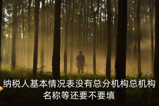 納稅人基本情況表沒有總分機構總機構名稱等還要不要填