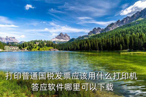 打印普通國稅發票應該用什么打印機 答應軟件哪里可以下載