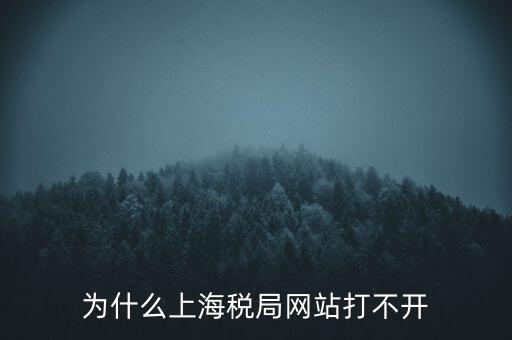 為什么上海稅局網站打不開