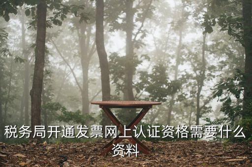 稅務局開通發票網上認證資格需要什么資料