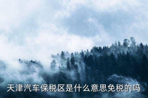 天津汽車保稅區是什么意思免稅的嗎