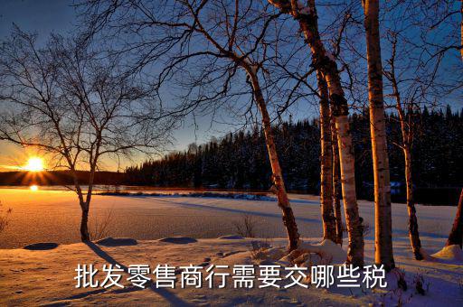 批發零售商行需要交哪些稅