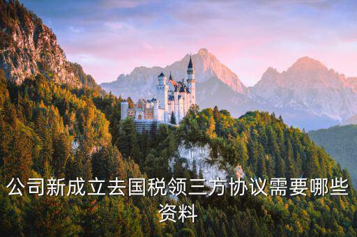 公司新成立去國稅領三方協議需要哪些資料