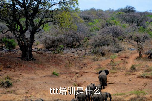 納稅人學堂培訓干什么，去各種培訓班做老師有前途么