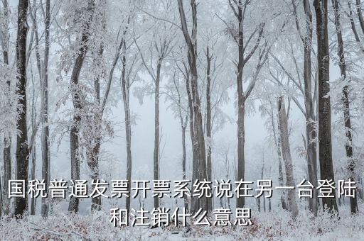 國稅普通發票開票系統說在另一臺登陸和注銷什么意思