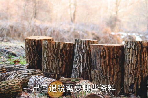 外貿退稅需要什么資料，出口退稅需要哪些資料