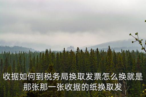 收據如何到稅務局換取發票怎么換就是那張那一張收據的紙換取發