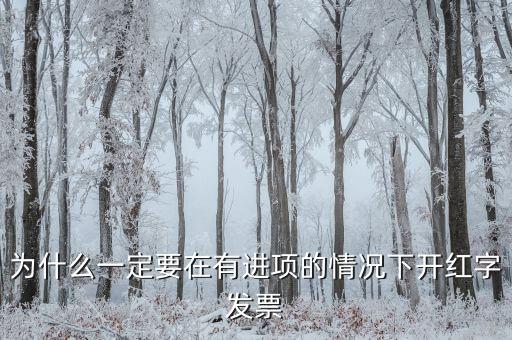為什么一定要在有進項的情況下開紅字發票