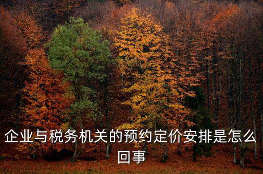 企業與稅務機關的預約定價安排是怎么回事