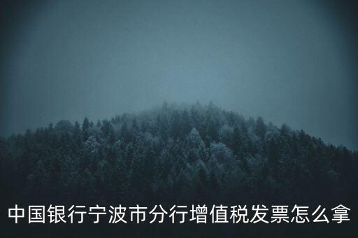 寧波國稅過發票要帶什么，浙江地區公司首次拿發票去國稅局需要帶什么證件