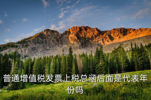 稅總涵2016代表什么意思，稅總財行便函201616號保險公司開具保險發票車船稅只在備注