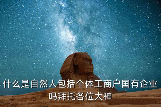 什么是自然人包括個體工商戶國有企業嗎拜托各位大神