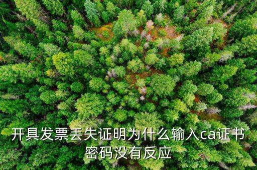開具發票丟失證明為什么輸入ca證書密碼沒有反應