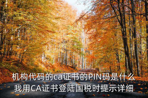 國稅ca證書登錄 密碼是什么，國稅第一次網上申報的登陸密碼是什么