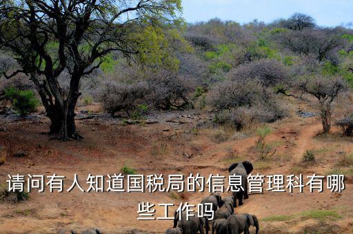 稅務信息崗位主要負責什么，地稅信息中心具體做些什么工作