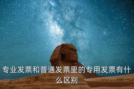 專業發票和普通發票里的專用發票有什么區別