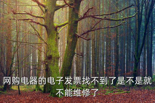 網購電器的電子發票找不到了是不是就不能維修了