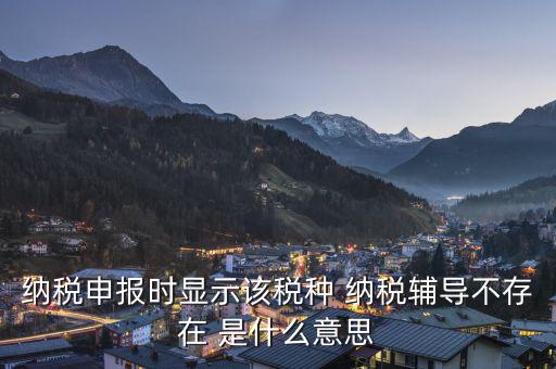 納稅輔導是什么意思，納稅申報時顯示該稅種 納稅輔導不存在 是什么意思