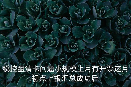 稅控盤清卡問題小規模上月有開票這月初點上報匯總成功后
