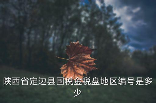 陜西省定邊縣國稅金稅盤地區編號是多少