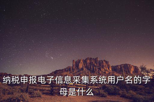 納稅人用戶編號是什么，地稅的用戶名是什么