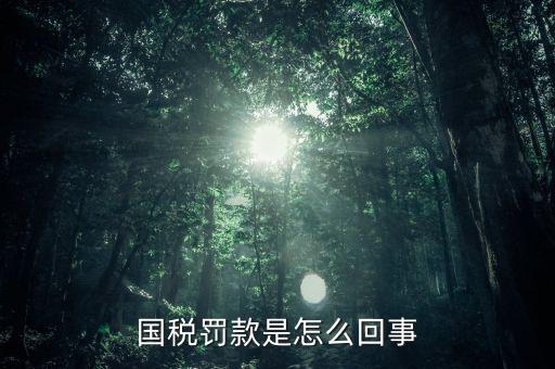 稅務(wù)局行為罰款是什么意思，國(guó)稅罰款是怎么回事