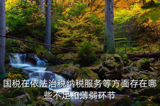 國稅在依法治稅納稅服務等方面存在哪些不足和薄弱環節