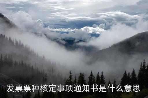 發票票種核定事項通知書是什么意思