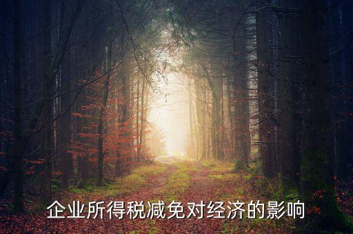 企業所得稅減免對經濟的影響