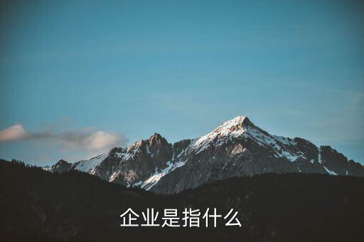 企業是指什么