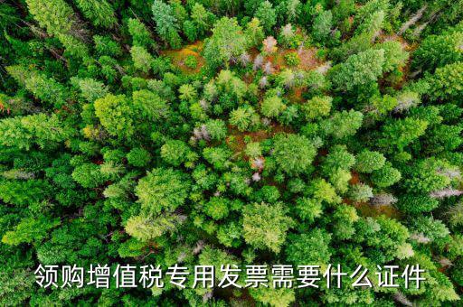 領購增值稅專用發票需要什么證件
