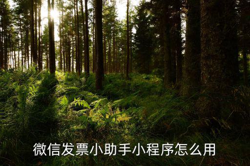 微發票助手是什么情況，微信發票小助手小程序怎么用