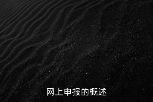 網上申報的概述