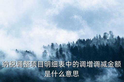 納稅調整項目明細表中的調增調減金額是什么意思