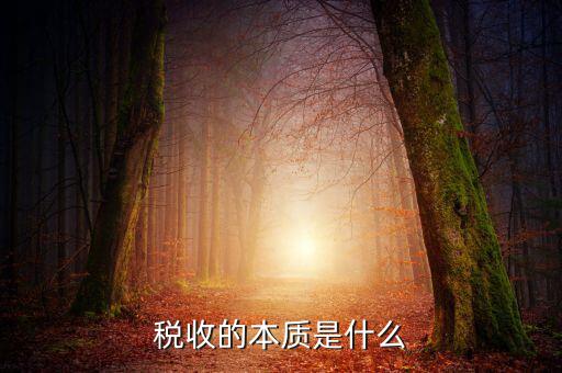 納稅服務本質是什么意思，稅收的本質是什么