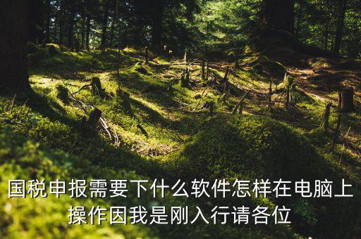 寶雞國稅用的什么軟件報稅，寶雞報稅怎么報