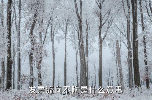 發票流向不附是什么意思