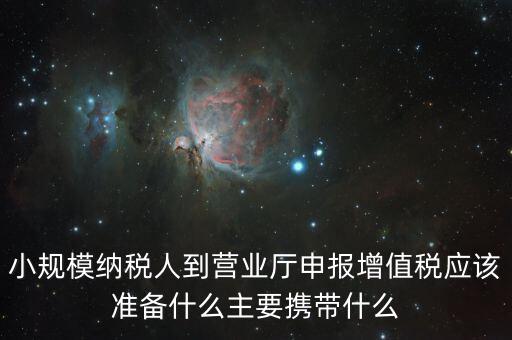 小規模納稅人到營業廳申報增值稅應該準備什么主要攜帶什么