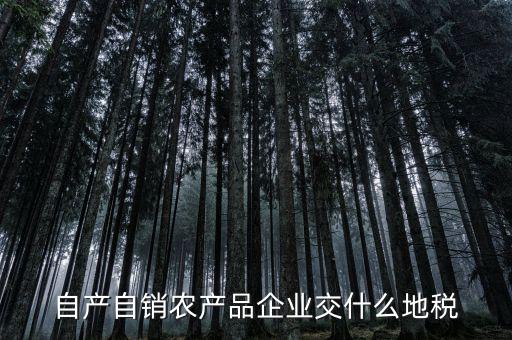 自產自銷農產品企業交什么地稅