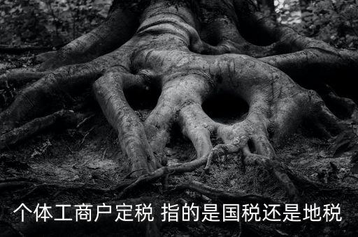 個體戶定稅是什么意思，疑難國稅個體戶定稅