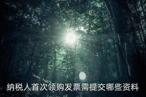 納稅人首次領購發票需提交哪些資料