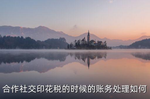 合作社交印花稅的時候的賬務處理如何
