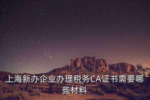 2014年7月份上海稅務局還需要審什么證，上海新辦企業辦理稅務CA證書需要哪些材料