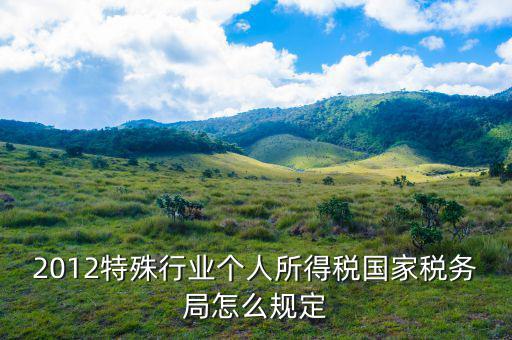 2012特殊行業個人所得稅國家稅務局怎么規定