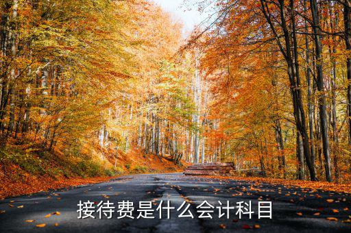 接待費計入什么科目，業務招待費屬于什么會計科目
