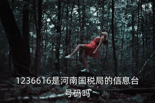 河南省國家稅務局賬號是什么，登錄國稅網上辦稅服務廳的用戶名和密碼是什么